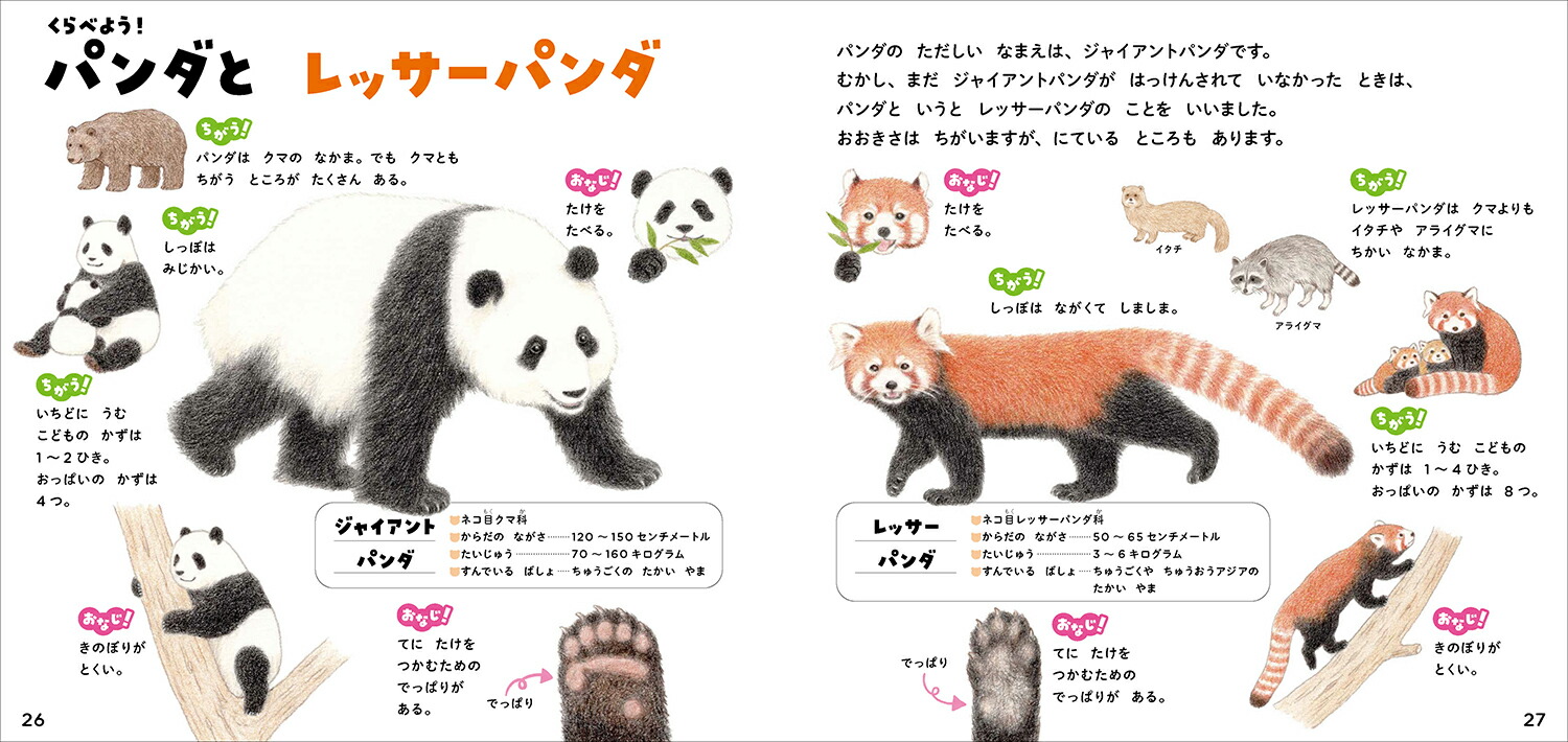 パンダのずかん（学研のえほんずかん3）[今泉忠明]