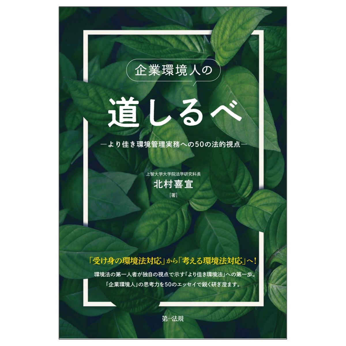 ゆる自炊BOOK 料理って意外に簡単らしい ビギナーさんいらっしゃい