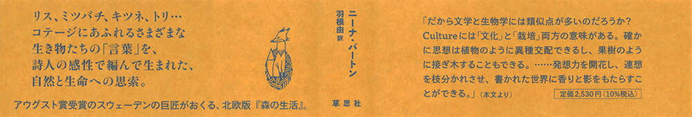 ������ˬ�Ԥ����̲��Υ��ơ����Ǹ��Ĥ�����̿�ε���[�ˡ��ʡ��С��ȥ�]