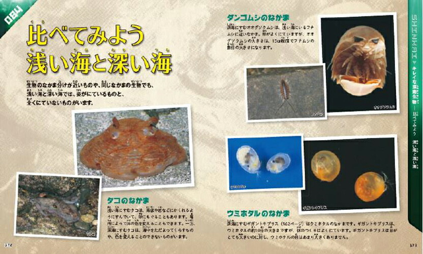 楽天ブックス 超キモイ ブキミ深海生物のひみつ100 石垣幸二 本