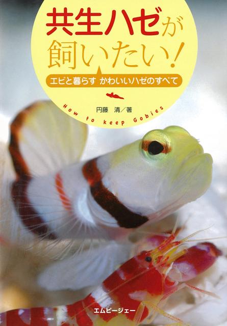 楽天ブックス バーゲン本 共生ハゼが飼いたい エビと暮らすかわいいハゼのすべて 円藤 清 本