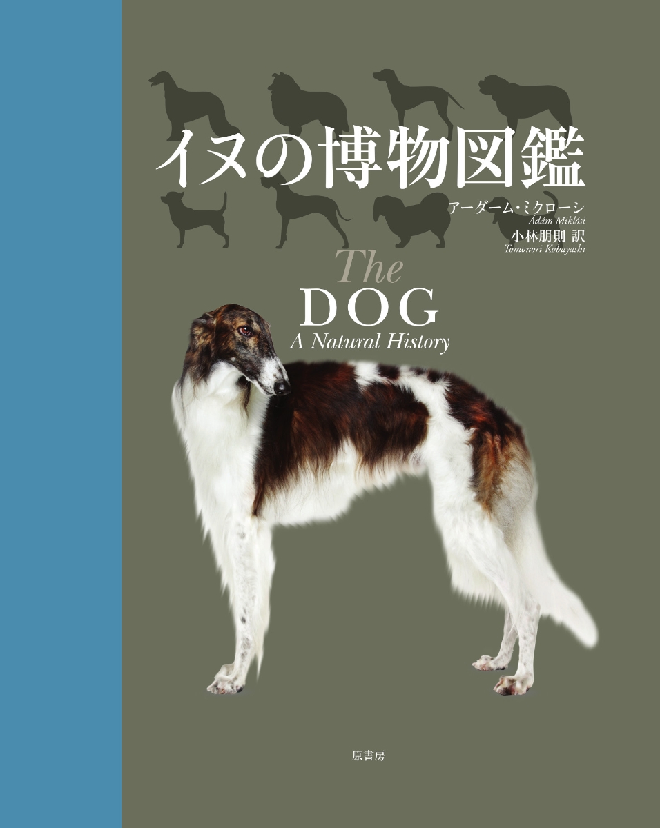 楽天ブックス イヌの博物図鑑 アーダーム ミクローシ 本