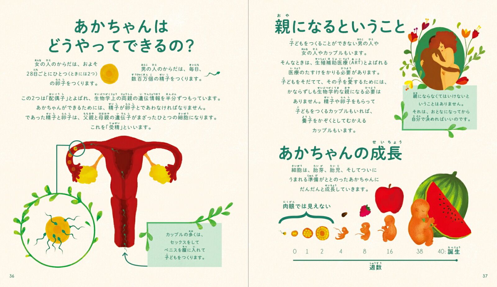 楽天ブックス: 女の子のからだえほん - マティルド・ボディ - 9784756256126 : 本