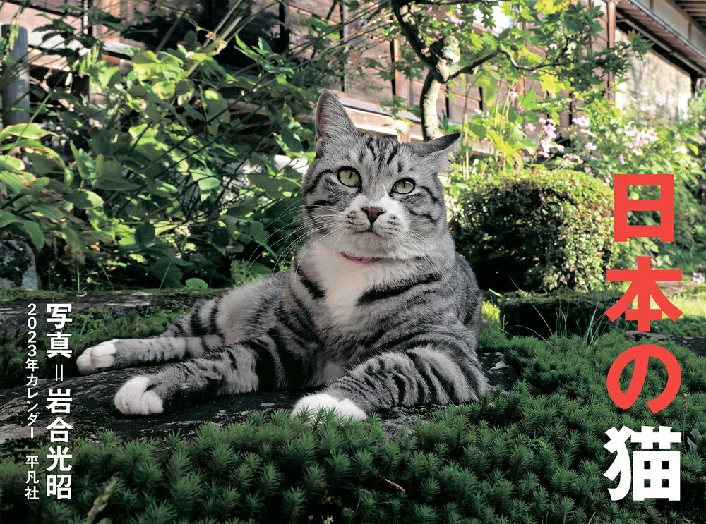 楽天ブックス 23年カレンダー 日本の猫 岩合 光昭 本