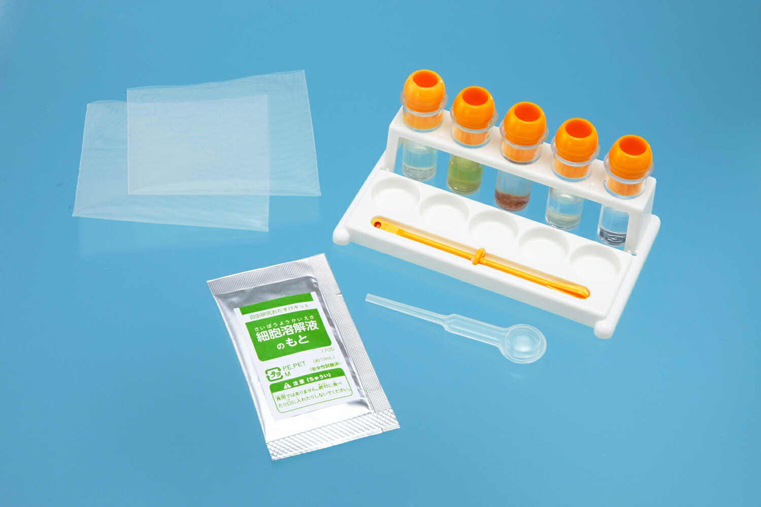 DNAĴ٤褦ʼͳ椪åȡ[ظץ饹]