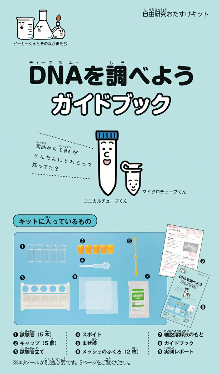 DNAĴ٤褦ʼͳ椪åȡ[ظץ饹]