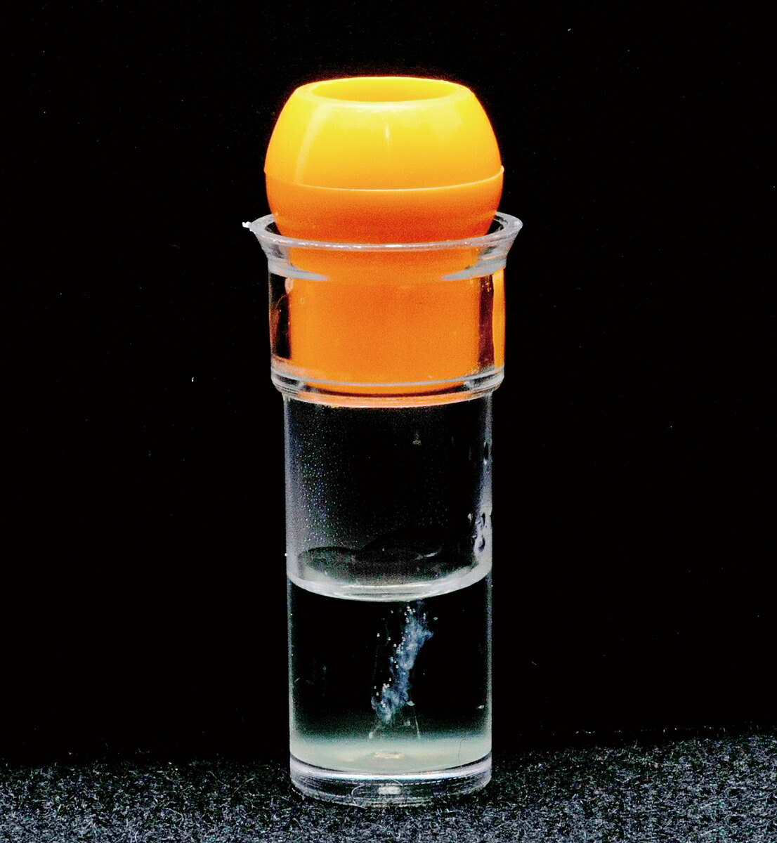 楽天ブックス Dnaを調べよう 学研プラス 本