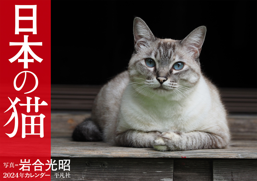 楽天ブックス: 2024年カレンダー 日本の猫 - 岩合 光昭