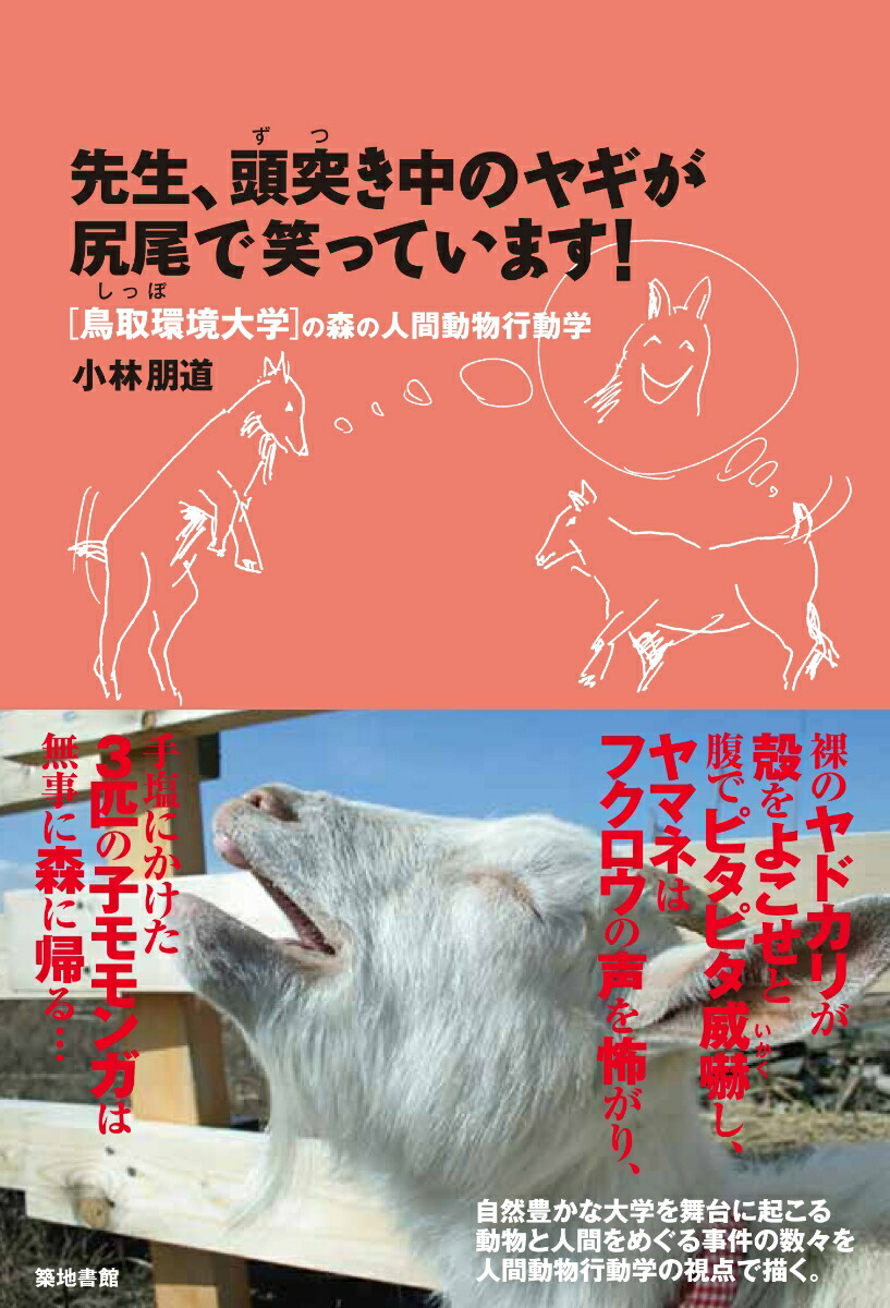 楽天ブックス 先生 頭突き中のヤギが尻尾で笑っています 鳥取環境大学の森の人間動物行動学 小林朋道 本