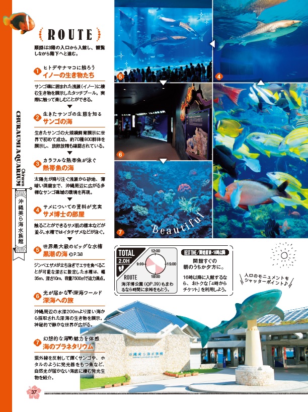 楽天ブックス 沖縄 ケラマ諸島 本