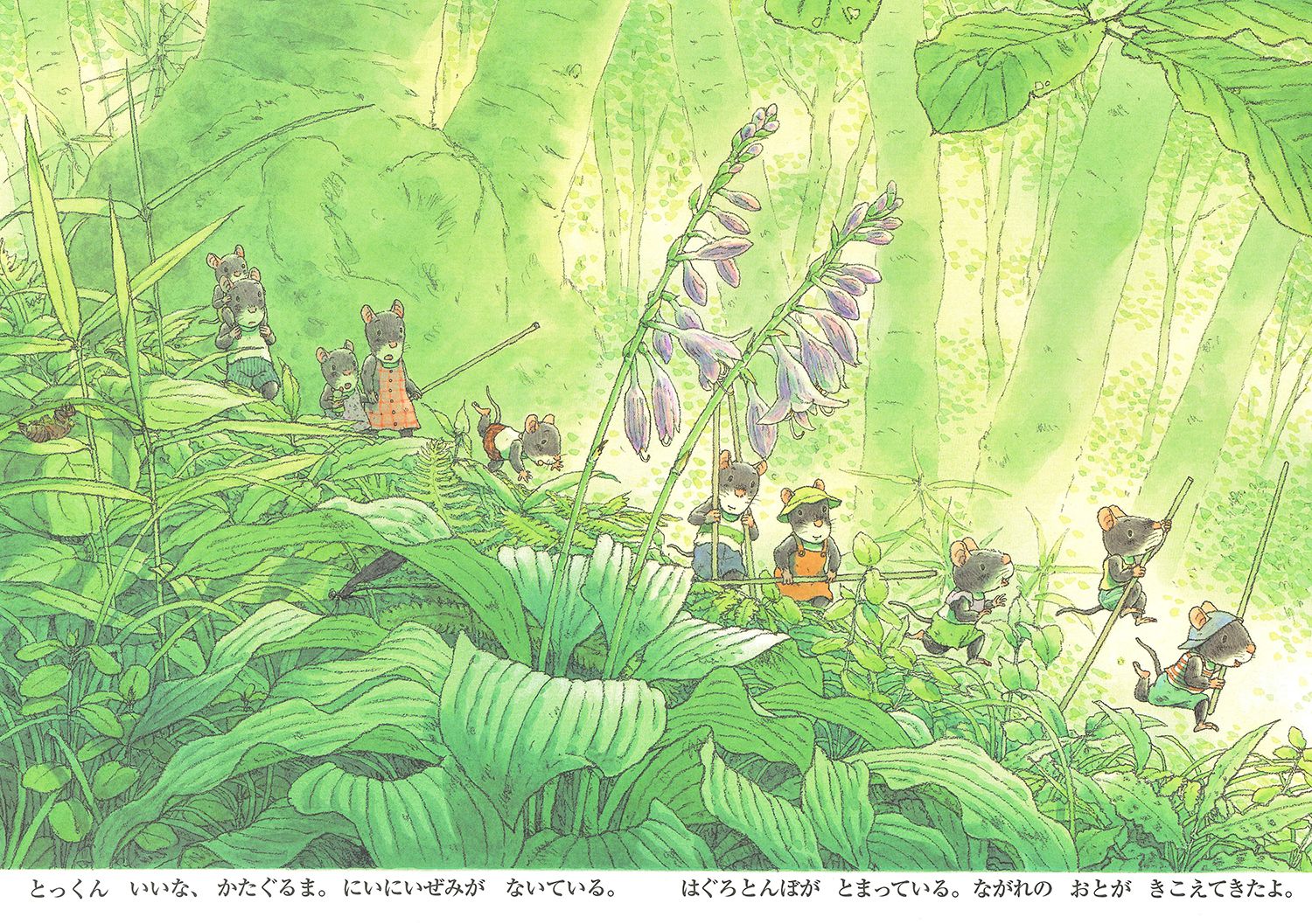 �ݥ��åȤ��ۤ�14�Ҥ��ΤȤ�ܤ�����14�Ҥ��Υݥ��åȤ��ۤ��[�����餫����]