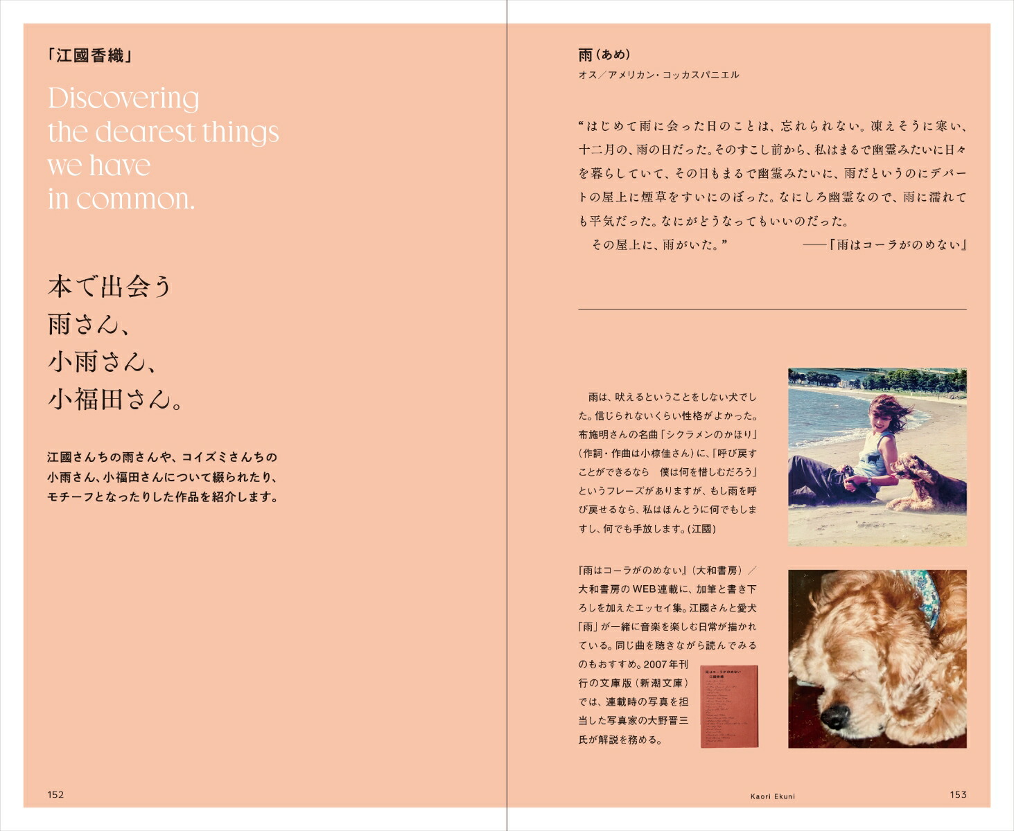 �ۥ�ȤΥ������ߤ���YOUTH[����������]