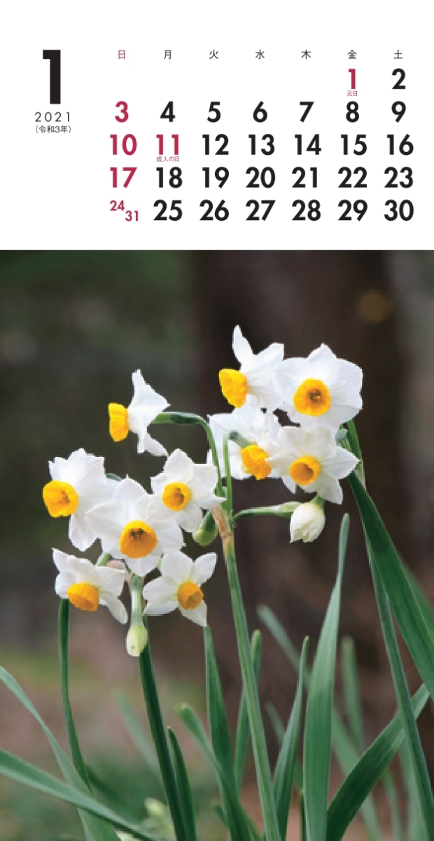 楽天ブックス カレンダー21 ミニカレンダー 野の花 月めくり 卓上 壁掛け リング 平野 隆久 本