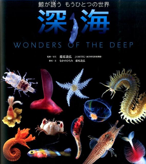 深海 鯨が誘うもうひとつの世界 | 藤原 義弘, 中野 ひろみ |本