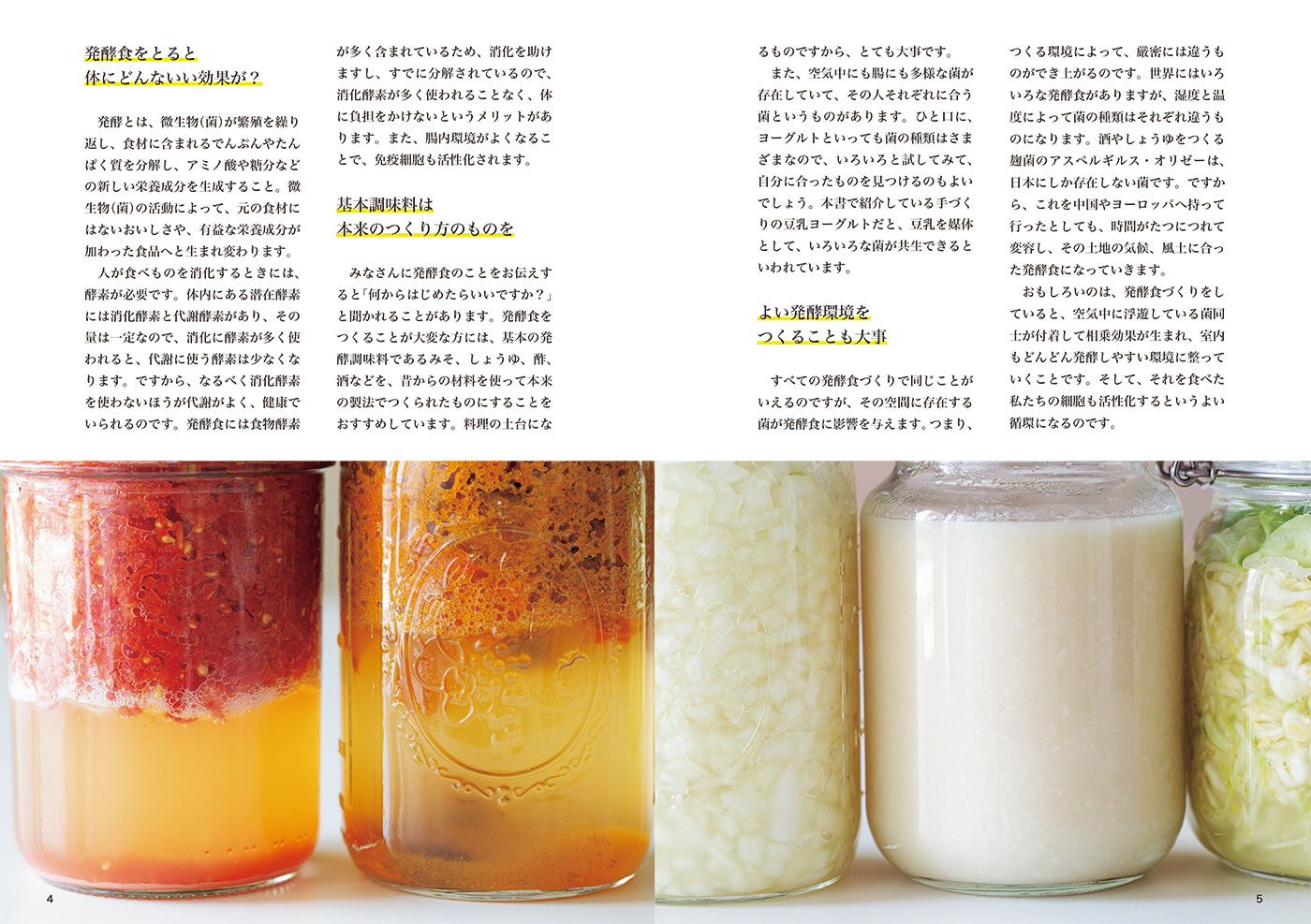 不調知らずの体になるここからはじめる発酵食[栗生隆子]