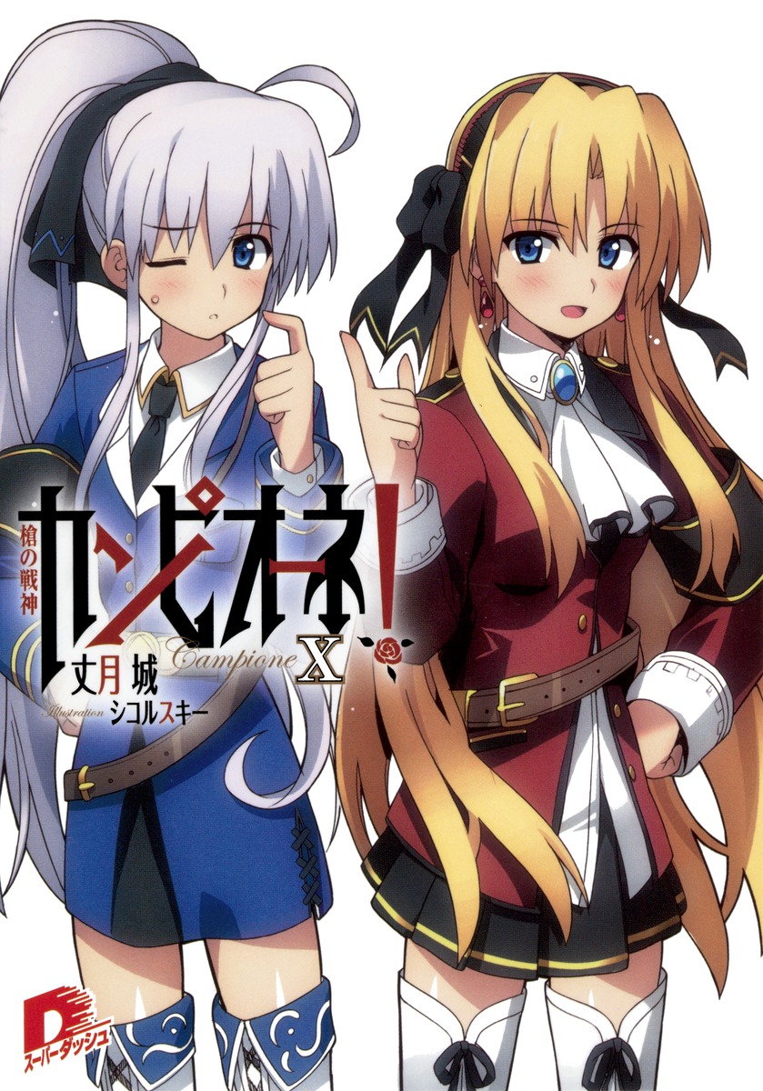 カンピオーネ！（10） 槍の戦神 （集英社スーパーダッシュ文庫） [ 丈月城 ]画像