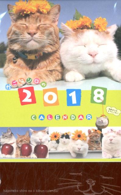 楽天ブックス かご猫卓上カレンダー Shironeko 本