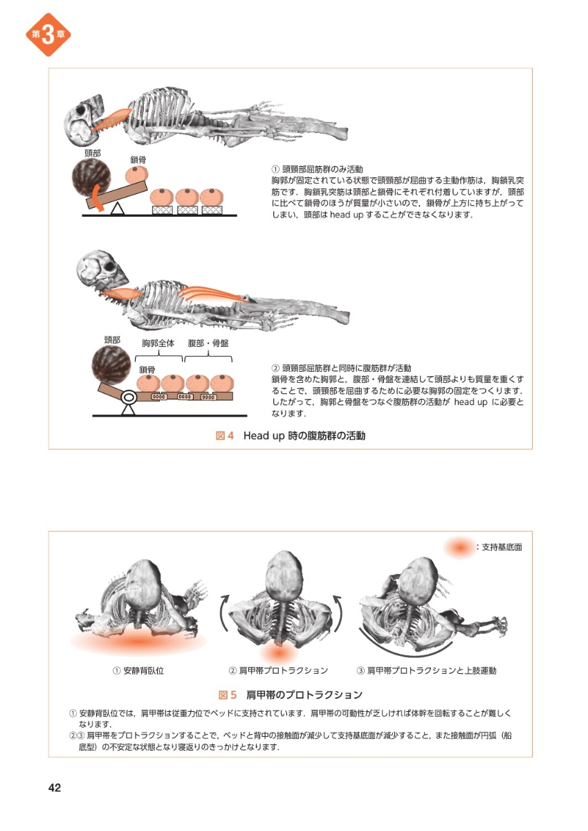 楽天ブックス 実践 動作分析第2版 動作のメカニズムがよくわかるweb動画付き 上杉雅之 本