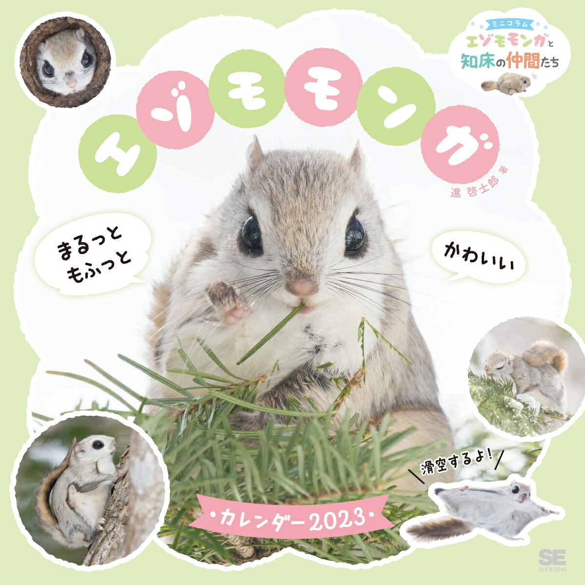 楽天ブックス 楽天ブックス限定特典 まるっともふっと かわいいエゾモモンガ カレンダー 23 スマートフォン用壁紙 進 啓士郎 本