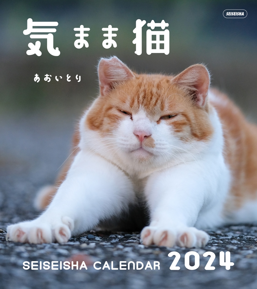 宮﨑あおい2009カレンダー - 女性情報誌