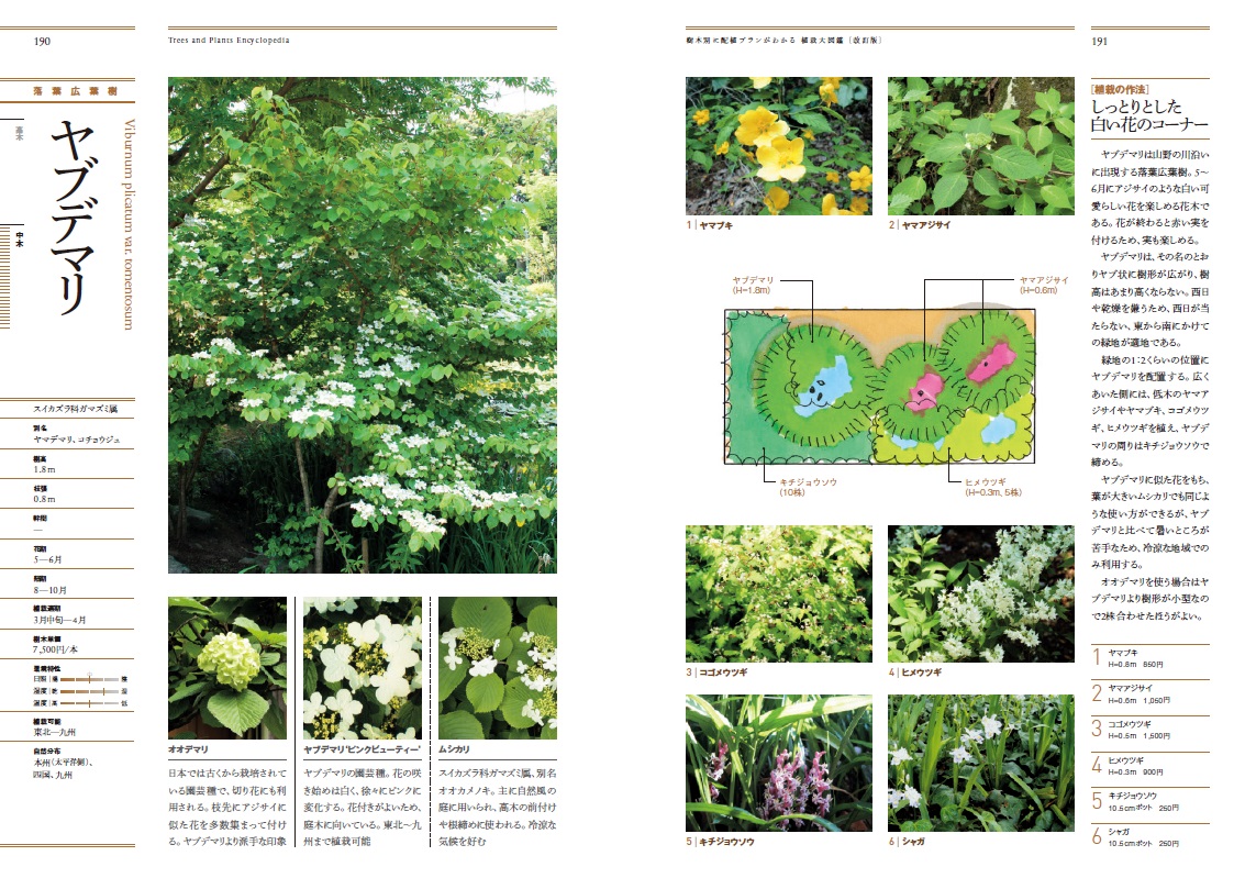 楽天ブックス 植栽大図鑑改訂版 樹木別に配植プランがわかる 山崎誠子 本