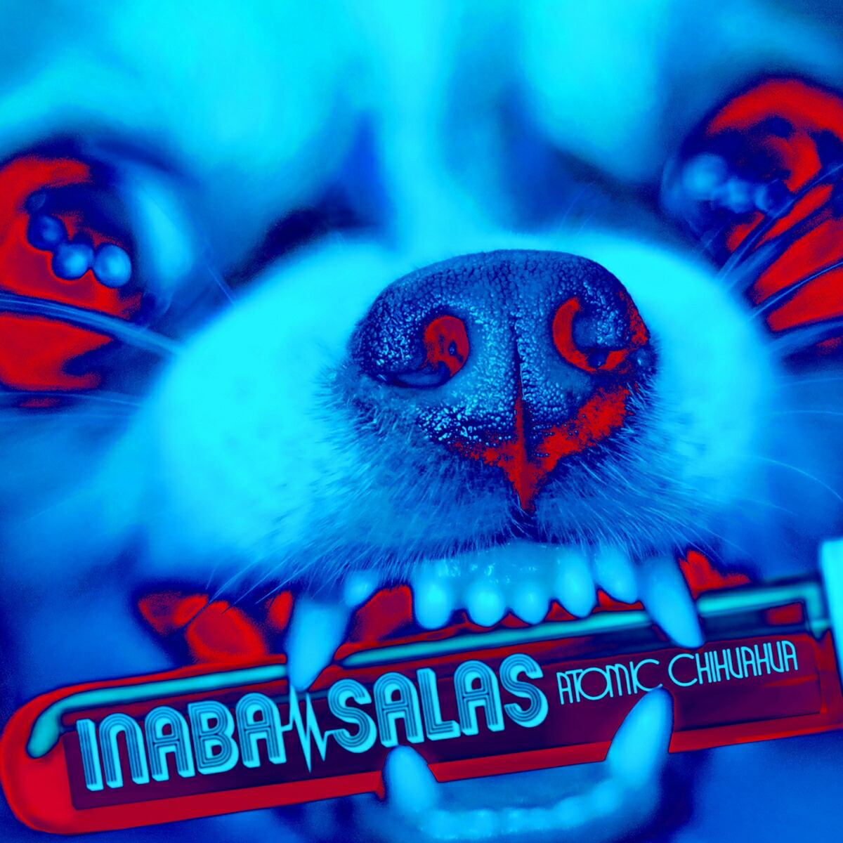 ڳŷ֥åŵATOMICCHIHUAHUA(̸CDܥߥ˥ȡȥХå)(륭ۥ)[INABA/SALAS]