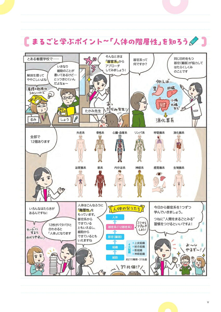 おもしろくなる解剖生理人間をまるごと理解しよう！[瀧澤敬美]