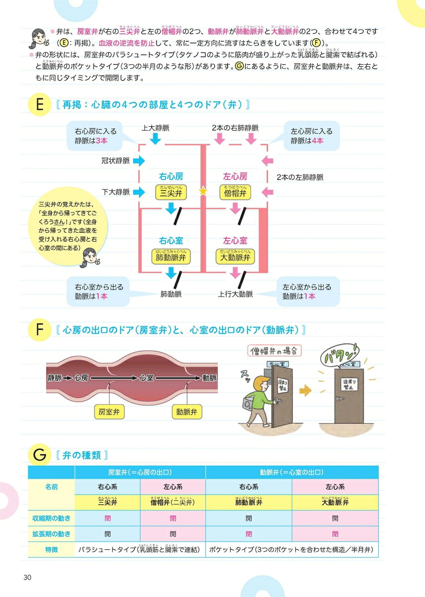 おもしろくなる解剖生理人間をまるごと理解しよう！[瀧澤敬美]