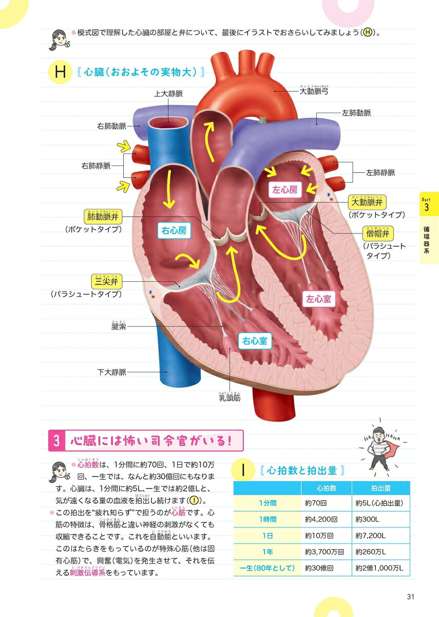 おもしろくなる解剖生理人間をまるごと理解しよう！[瀧澤敬美]
