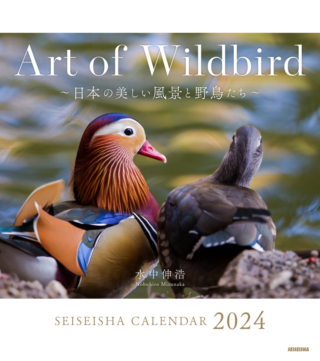 楽天ブックス: Art of Wildbird 日本の美しい風景と野鳥たち - 水中