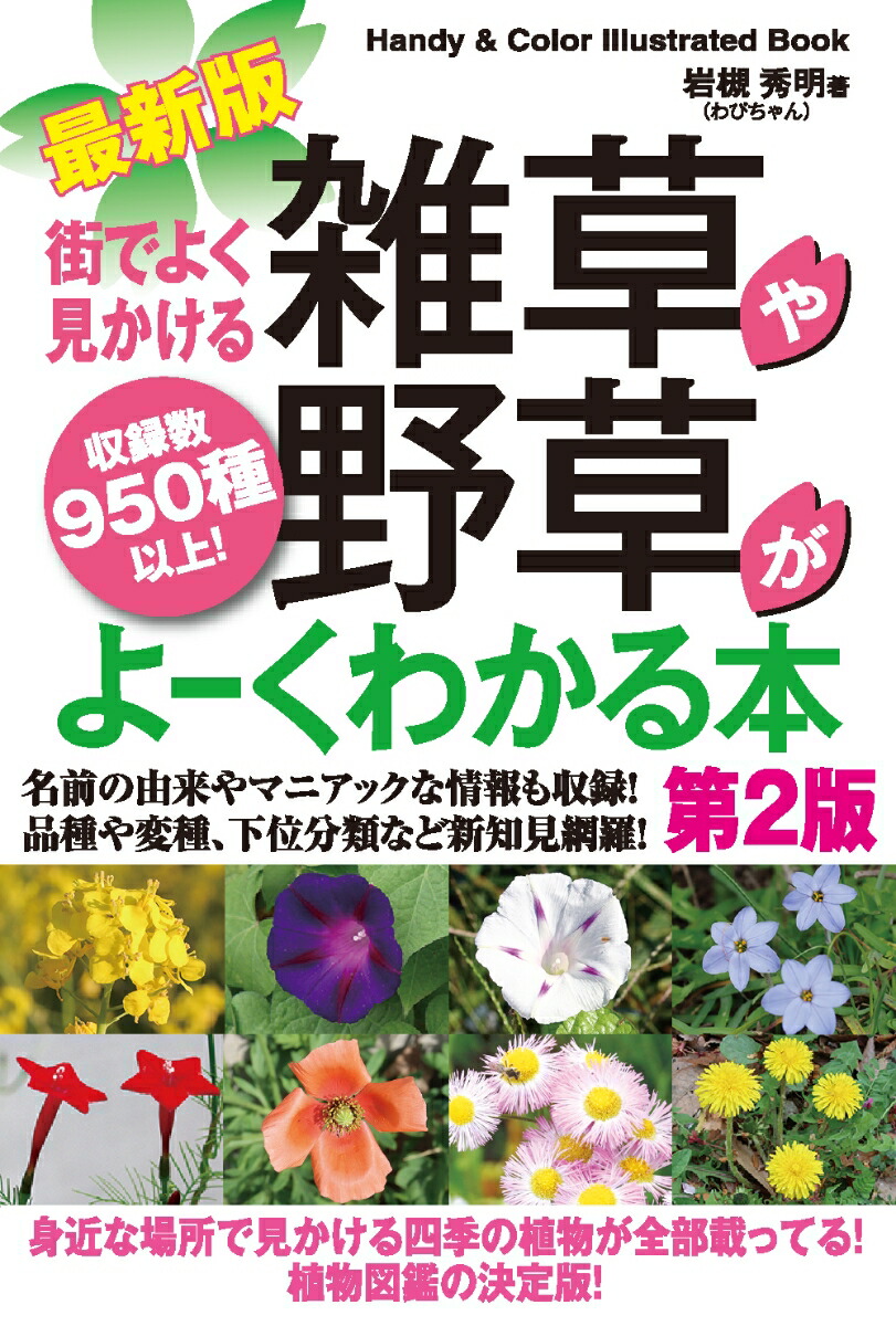 楽天ブックス: 最新版 街でよく見かける雑草や野草がよーくわかる本