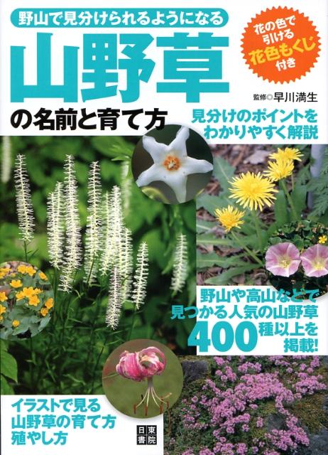 楽天ブックス 山野草の名前と育て方 野山で見分けられるようになる 早川滿生 本