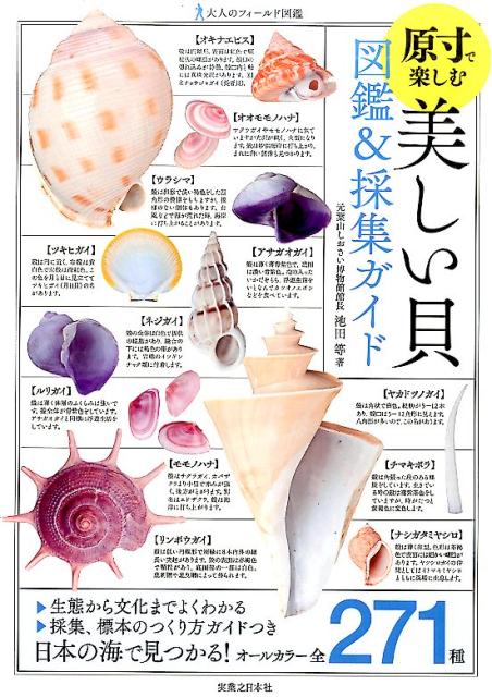 楽天ブックス: 美しい貝図鑑＆採集ガイド - 池田等