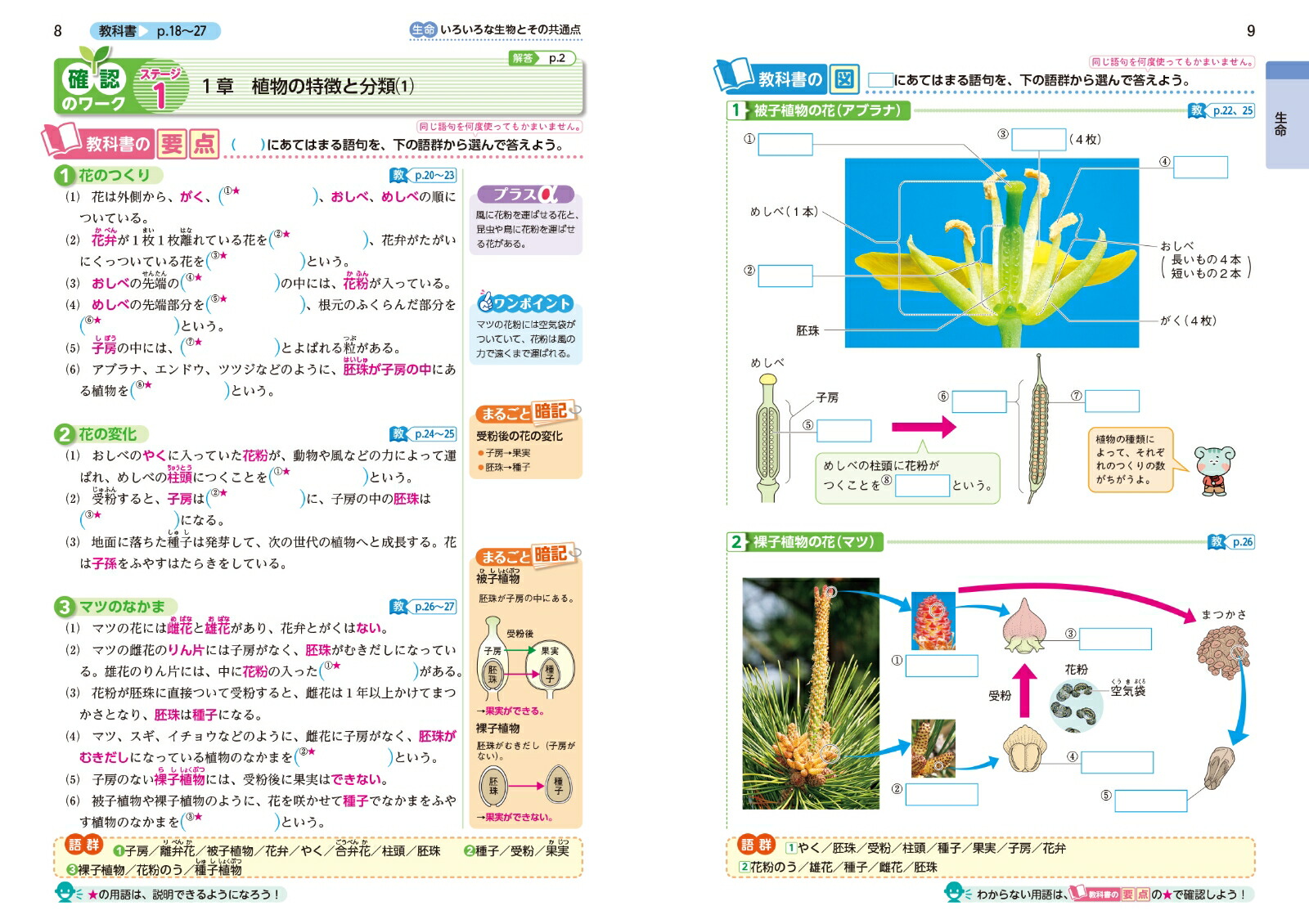 中学教科書ワーク理科1年啓林館版