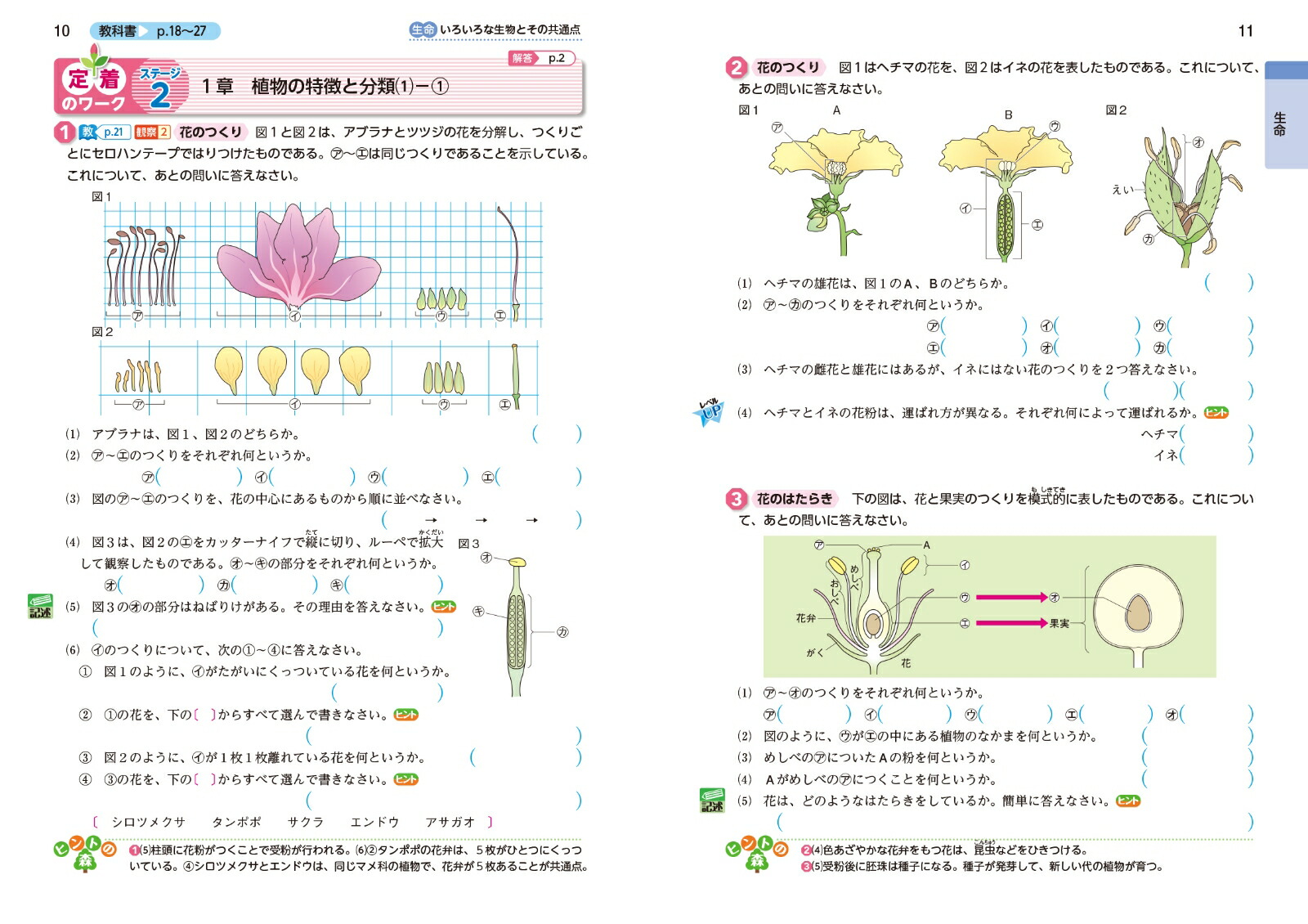 中学教科書ワーク理科1年啓林館版