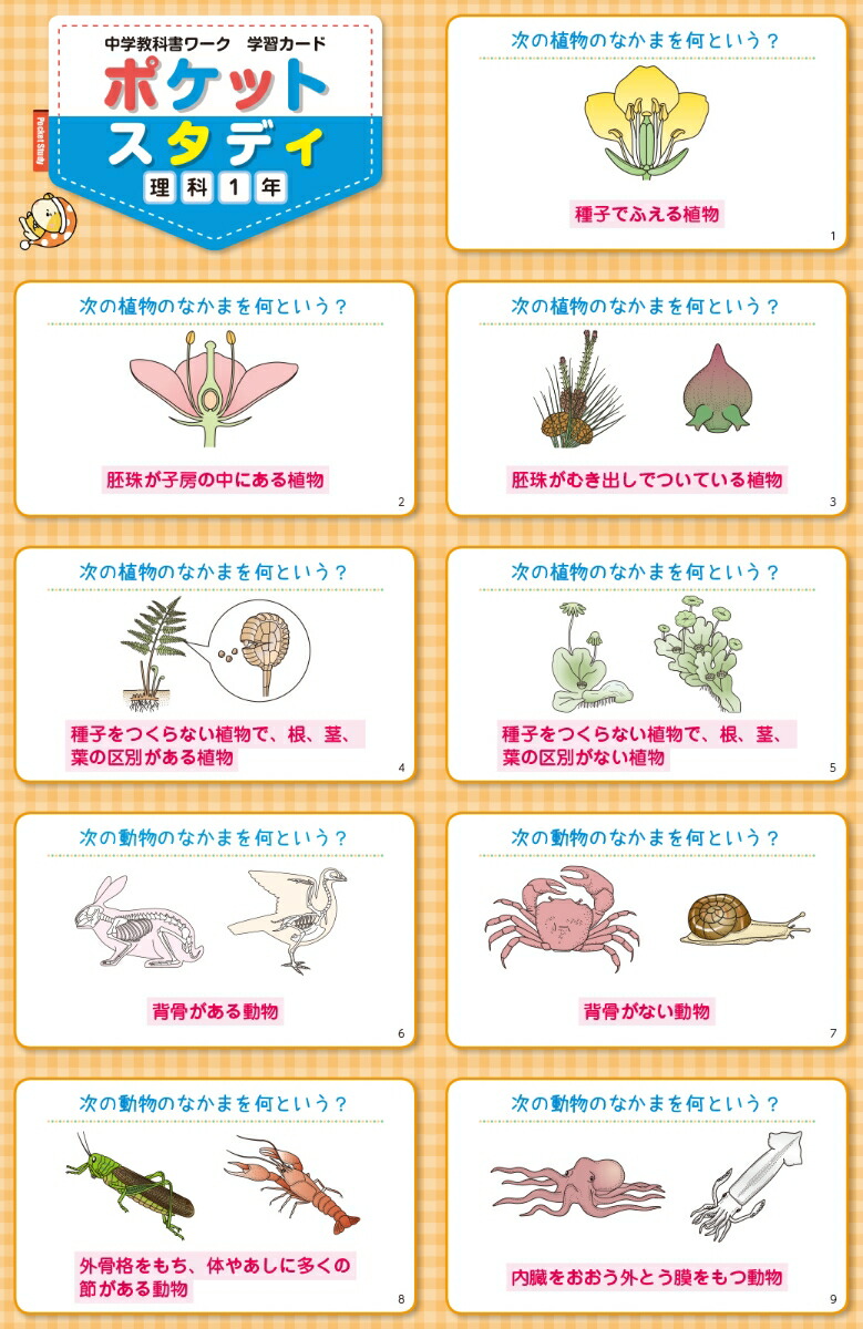 中学教科書ワーク理科1年啓林館版