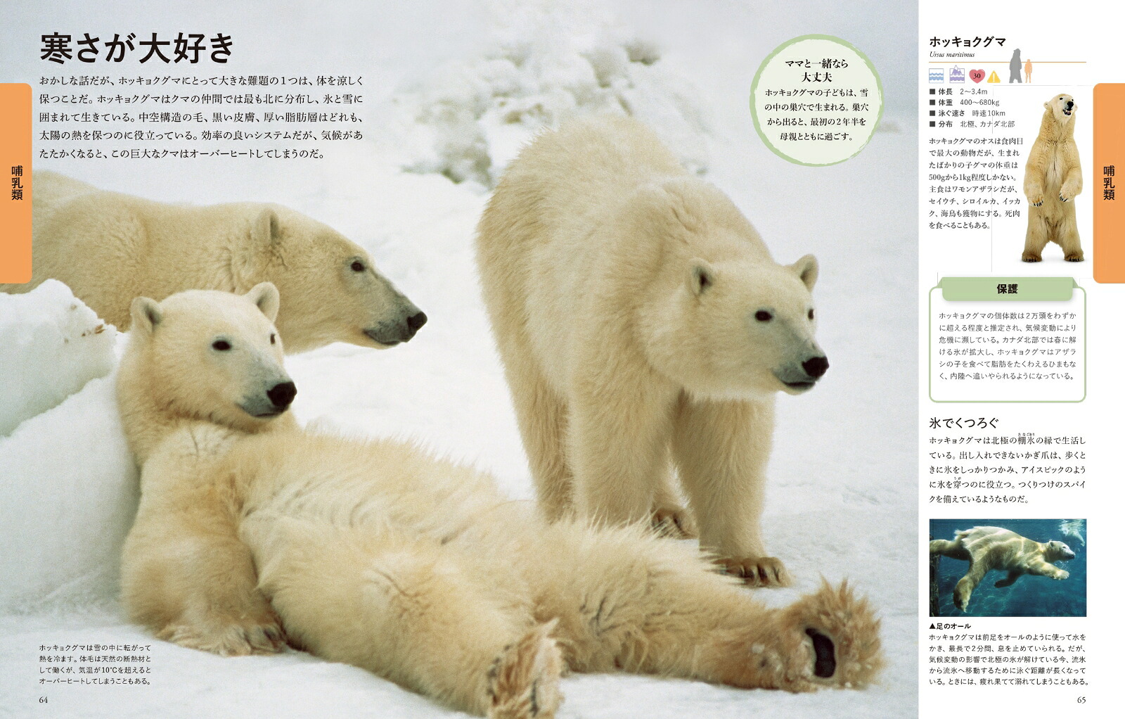 楽天ブックス: ビジュアル 世界の動物大図鑑 - DK - 9784863136298 : 本