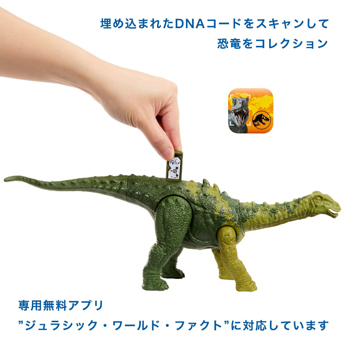 �ޥƥ른��饷�å�����(JURASSICWORLD)���������ե����奢�ۤ��롪�˥������륵���륹�ڶ�ε�������ۡ���Ĺ:��34cm�ۡ�4��~��HLP20