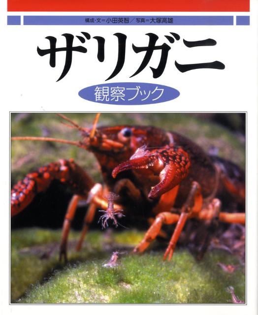 楽天ブックス ザリガニ観察ブック 小田英智 本