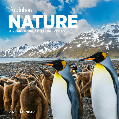 楽天ブックス: Audubon Nature Wall Calendar 2025: A Year Of Breathtaking ...