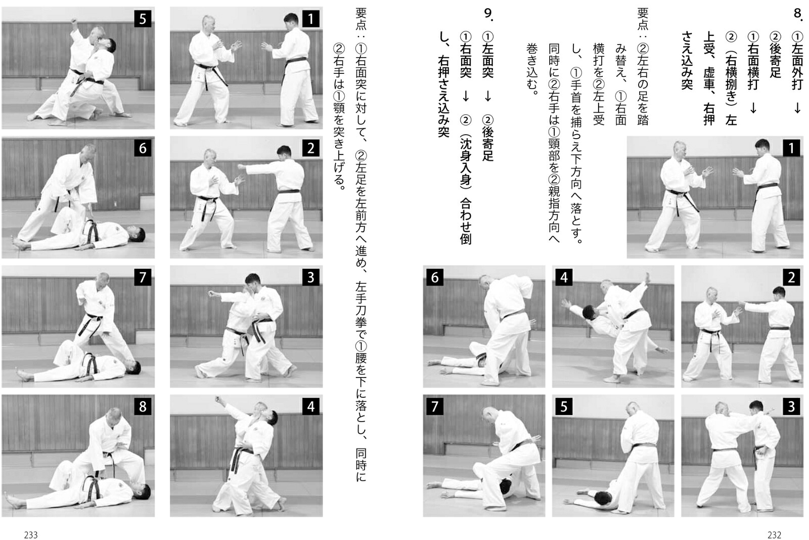 強い！日拳日本拳法を学ぶ乱取りで身につく！突き蹴り、投技、関節技！！[土肥豊]
