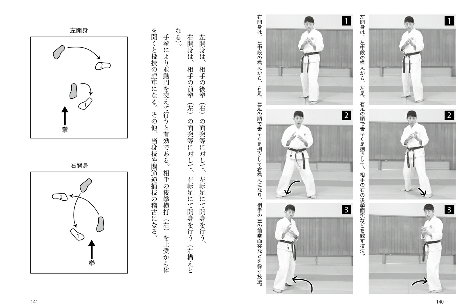 強い！日拳日本拳法を学ぶ乱取りで身につく！突き蹴り、投技、関節技！！[土肥豊]