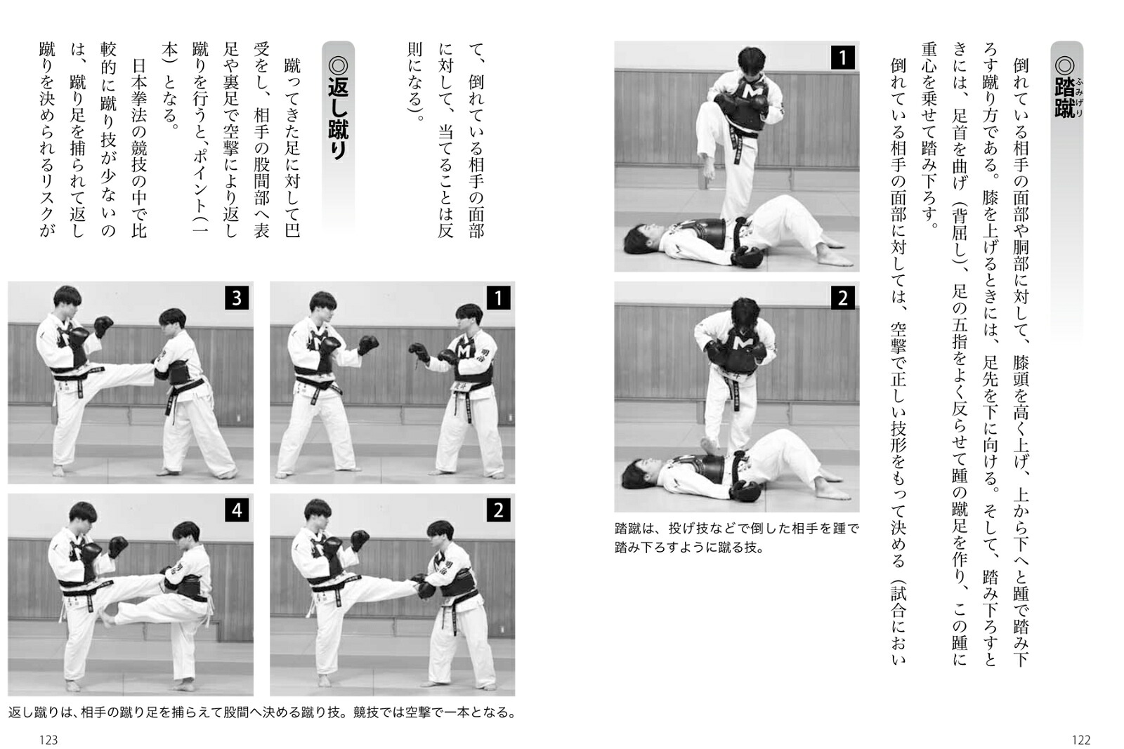 強い！日拳日本拳法を学ぶ乱取りで身につく！突き蹴り、投技、関節技！！[土肥豊]