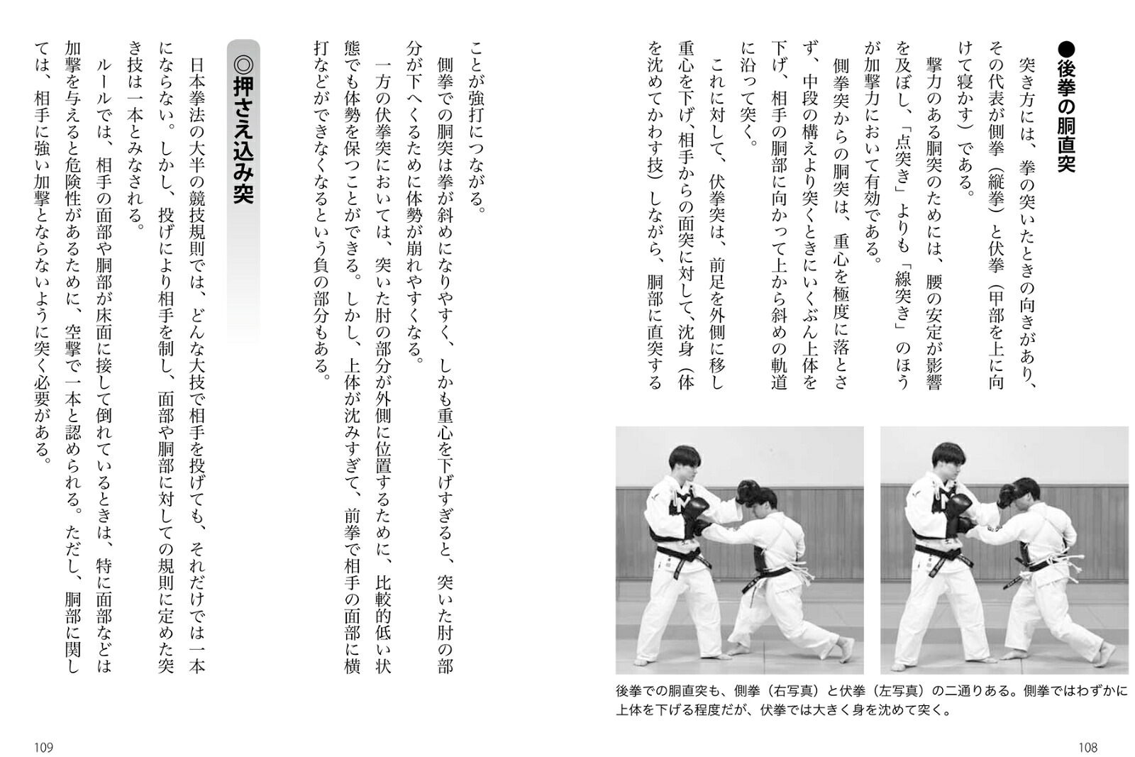 強い！日拳日本拳法を学ぶ乱取りで身につく！突き蹴り、投技、関節技！！[土肥豊]