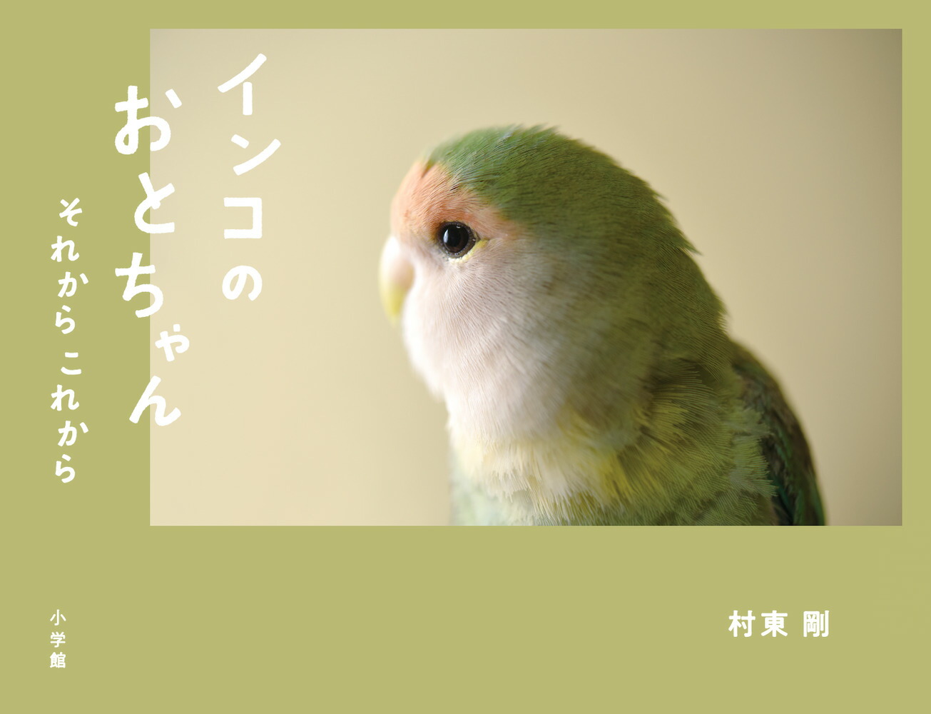 楽天ブックス インコのおとちゃん それから これから 村東 剛 本