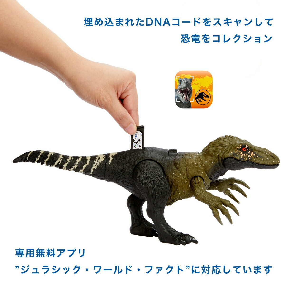 �ޥƥ른��饷�å�����(JURASSICWORLD)���������ե����奢�ۤ��롪���륳��ץȥ�ڶ�ε�������ۡ���Ĺ:��33cm�ۡ�4��~��HLP21