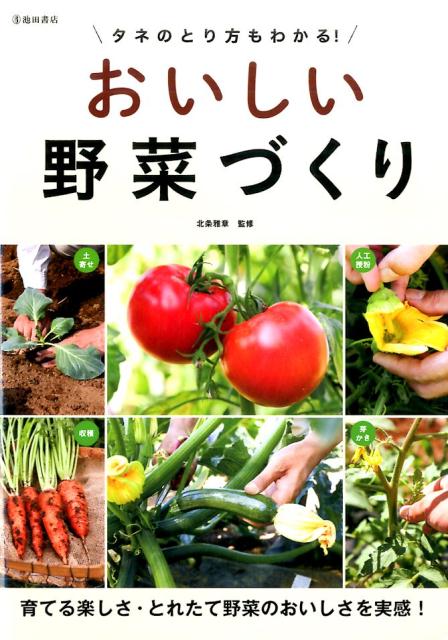 タネのとり方もわかる！おいしい野菜づくり[北条雅章]