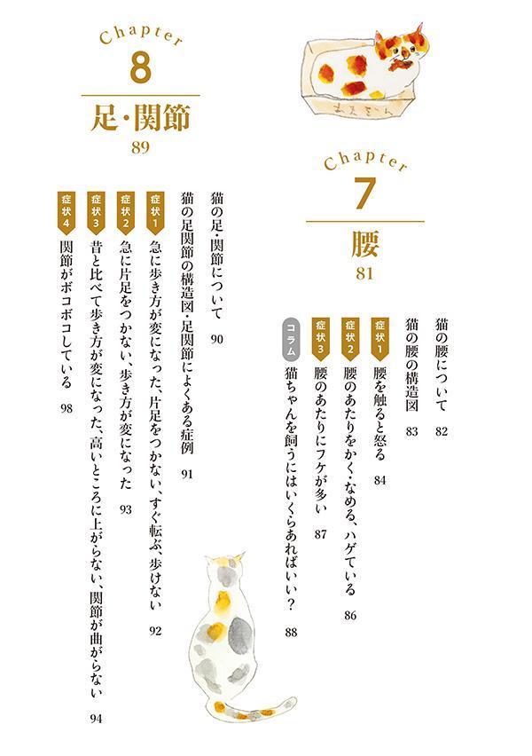 最新版愛猫のための症状・目的別ケア百科現役人気YouTuber獣医が教える[いとぅ～先生]