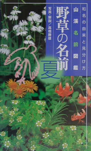 楽天ブックス 野草の名前 夏 山溪名前図鑑 高橋勝雄 本