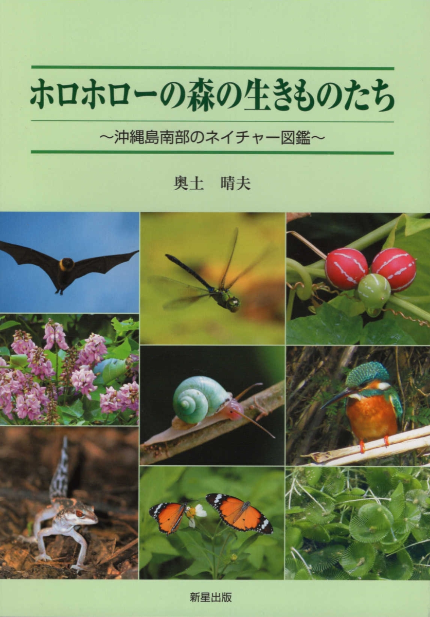 楽天ブックス ホロホローの森の生きものたち 沖縄島南部のネイチャー図鑑 奥土晴夫 本